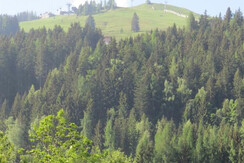 IMG_3577 IMG_3577