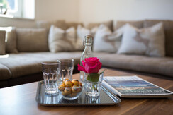 Detail Wohnzimmer  Glas