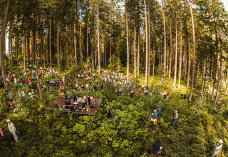 Kollingwald 2022