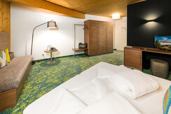 Room Superior  - Hotel die Hindenburg Room Superior  - Hotel die Hindenburg