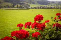 20200922_MatzhofInnen_119_klein