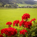 Bild von Chalet Matzhof