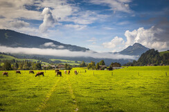 20200922_MatzhofAussen_018_klein