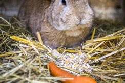 20200922_MatzhofAussen_092_klein