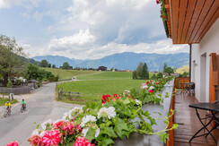 IMG_2967 IMG_2967