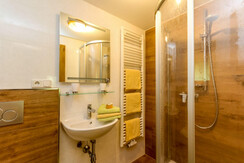 bauernhofurlaub-saalfelden-badezimmer-dusche bauernhofurlaub-saalfelden-badezimmer-dusche