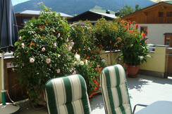 Terrasse Terrasse