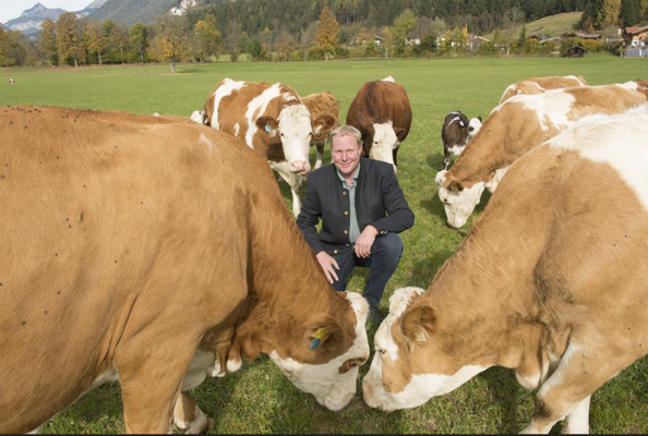 Haus Neureiter - Laböckhof 1 Haus Neureiter - Laböckhof 1