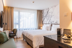 IMG_1435-Enhanced-NR