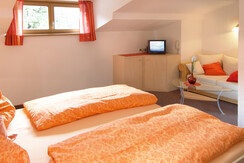 Doppelzimmer Sparefroh Dachfenster