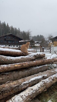 IMG_7293