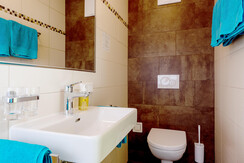 Bad Zimmer Birnhorn Nr. 12