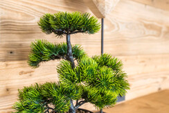 20251127_PocherguetlInnen_034_klein