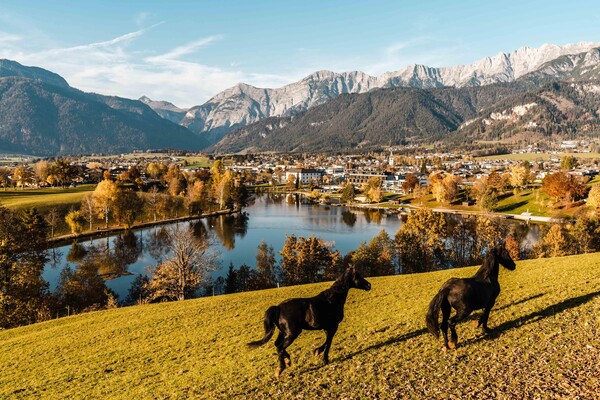 Herbst2019_Ritzensee_19_MichaelGeißler Herbst2019_Ritzensee_19_MichaelGeißler