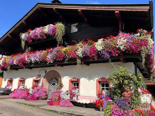 Haus Blumen August 2025