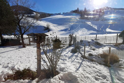 Ausblick vom Esstisch nach Süden