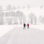 Photo of Apartment, shower, toilet, 2 bed rooms